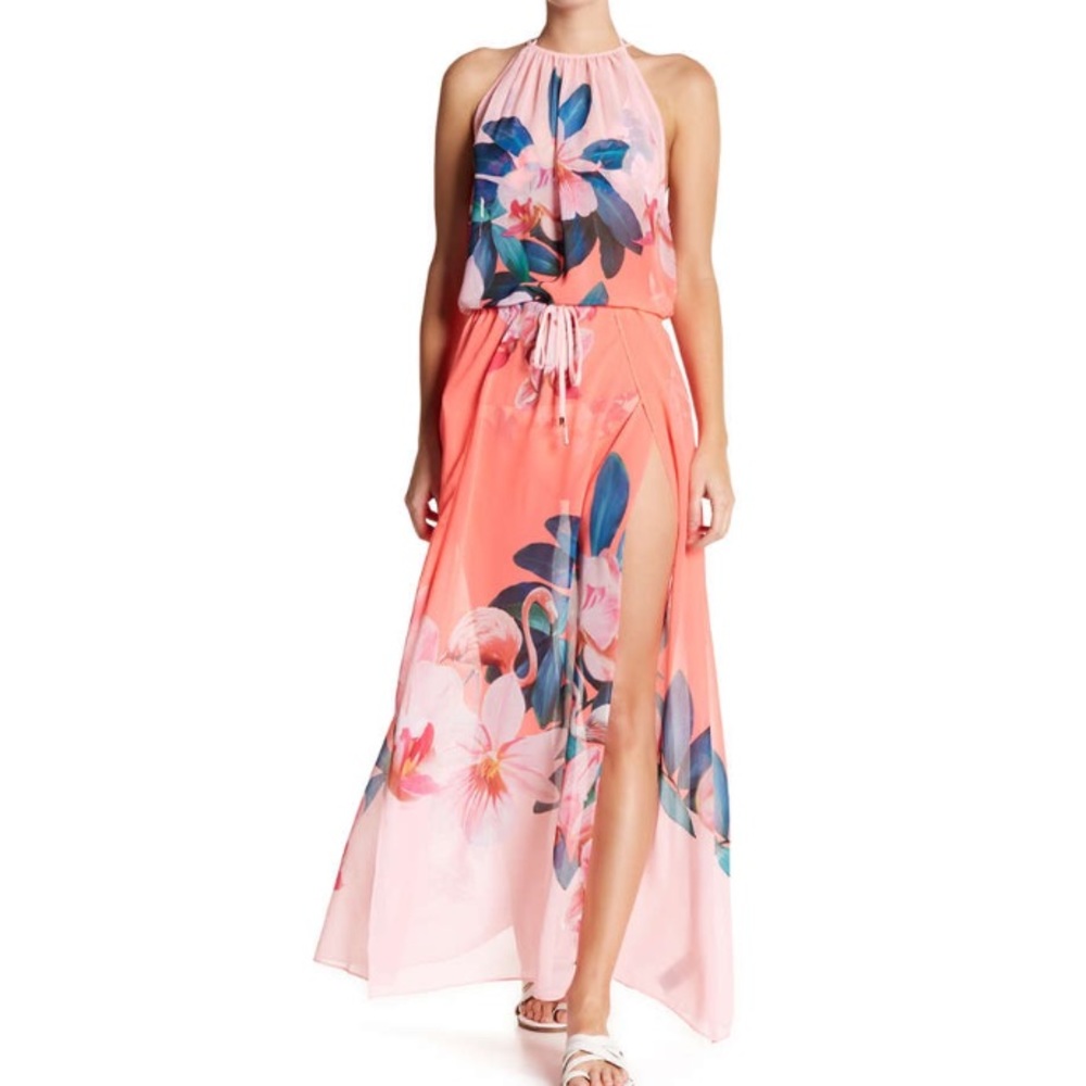 Ted Baker London Orchid Wonderland Maxi Dress